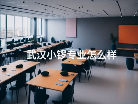 武汉小锣专业怎么样(图1) 武汉小锣专业怎么样(图1)