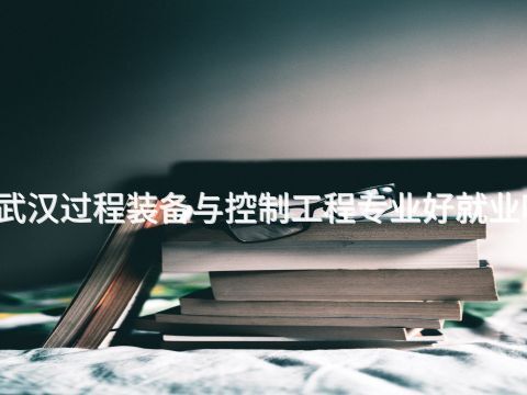 武漢過程裝備與控制工程專業(yè)好就業(yè)嗎