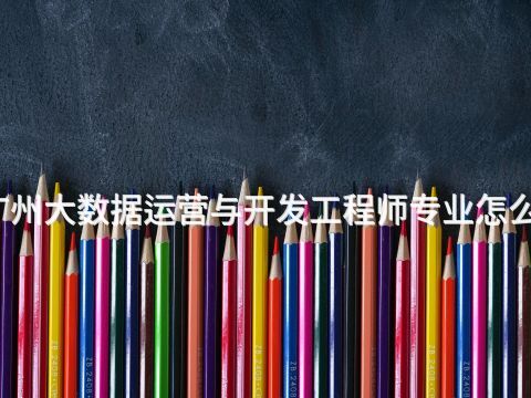 广州大数据运营与开发工程师专业怎么样