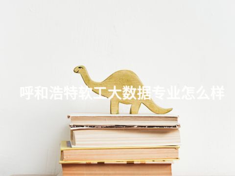 呼和浩特软工大数据专业怎么样