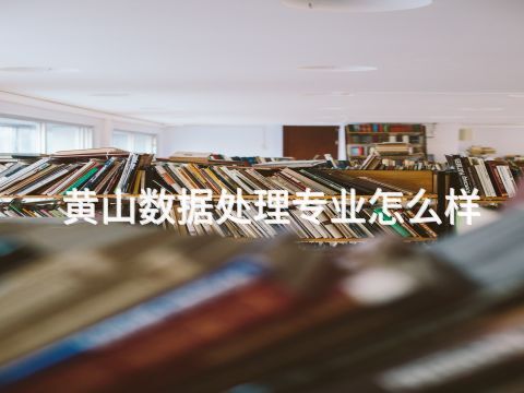 黄山数据处理专业怎么样