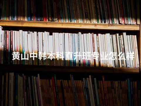 黄山中韩本科直升班专业怎么样