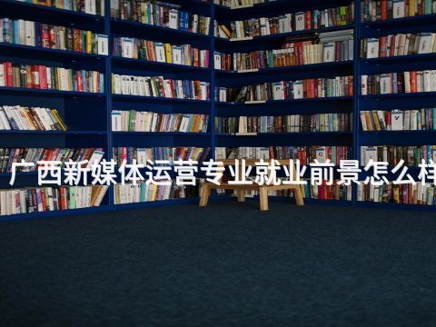 广西新媒体运营专业就业前景怎么样