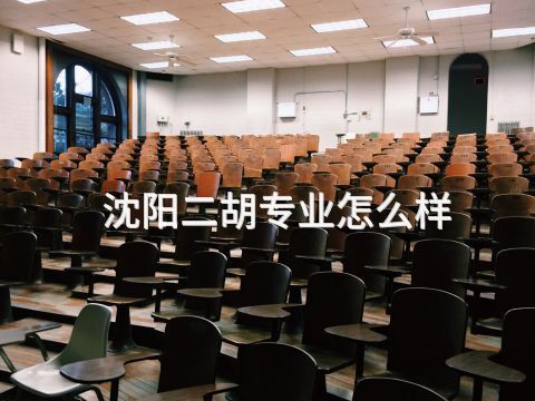 沈阳二胡专业怎么样