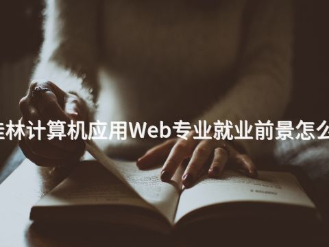 桂林计算机应用Web专业就业前景怎么样(图1) 桂林计算机应用Web专业就业前景怎么样(图1)