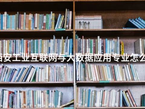 西安工业互联网与大数据应用专业怎么样