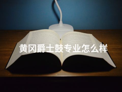 黄冈爵士鼓专业怎么样