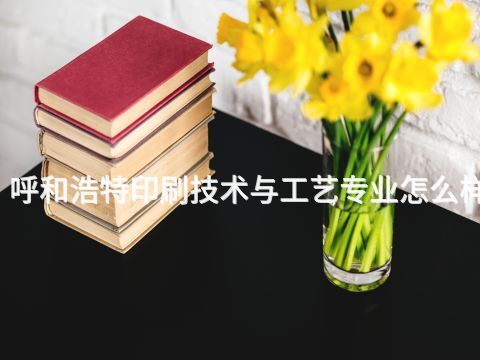 呼和浩特印刷技術(shù)與工藝專業(yè)怎么樣(圖1) 呼和浩特印刷技術(shù)與工藝專業(yè)怎么樣(圖1)