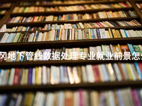 黄冈地下管线数据处理专业就业前景怎么样