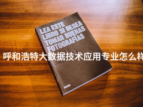 呼和浩特大数据技术应用专业怎么样