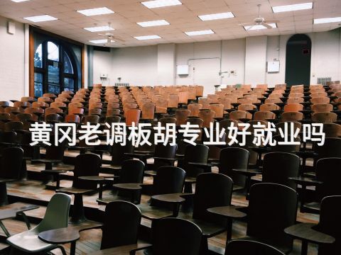 黄冈老调板胡专业好就业吗