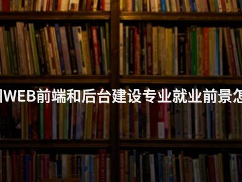 广州WEB前端和后台建设专业就业前景怎么样