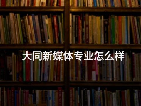 大同新媒体专业怎么样