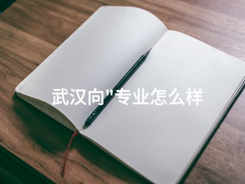 武汉向"专业怎么样