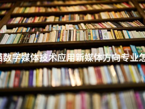 广西数字媒体技术应用新媒体方向专业怎么样