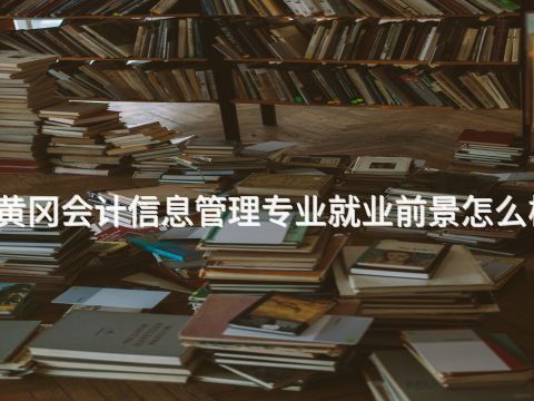 黃岡會計信息管理專業就業前景怎么樣(圖1) 黃岡會計信息管理專業就業前景怎么樣(圖1)