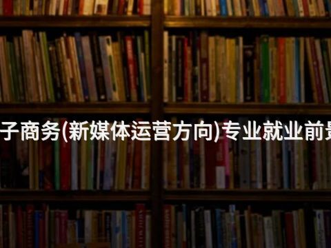 黃岡電子商務(新媒體運營方向)專業就業前景怎么樣