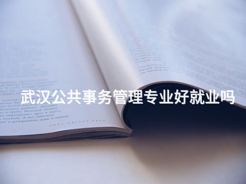 武漢公共事務管理專業好就業嗎