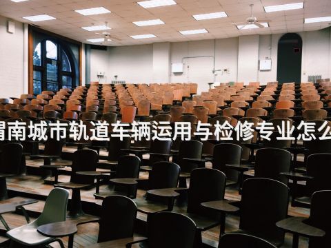 渭南城市轨道车辆运用与检修专业怎么样(图1) 渭南城市轨道车辆运用与检修专业怎么样(图1)