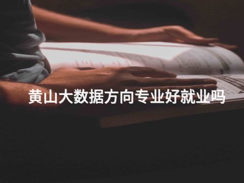 黄山大数据方向专业好就业吗