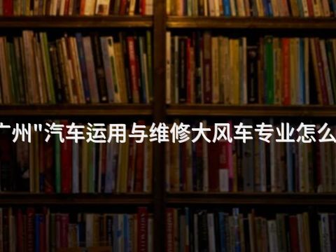 广州"汽车运用与维修大风车专业怎么样