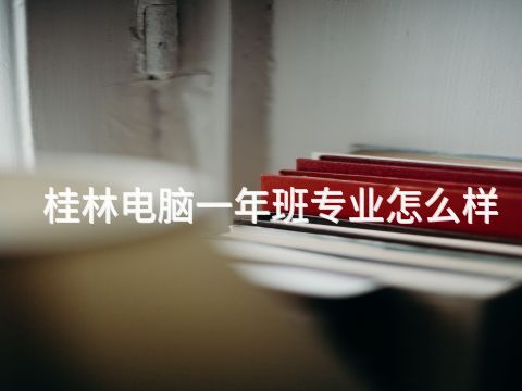 桂林电脑一年班专业怎么样(图1) 桂林电脑一年班专业怎么样(图1)
