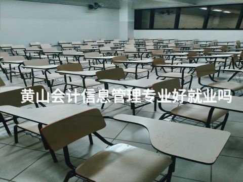 黄山会计信息管理专业好就业吗
