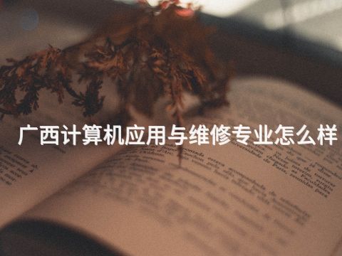 广西计算机应用与维修专业怎么样