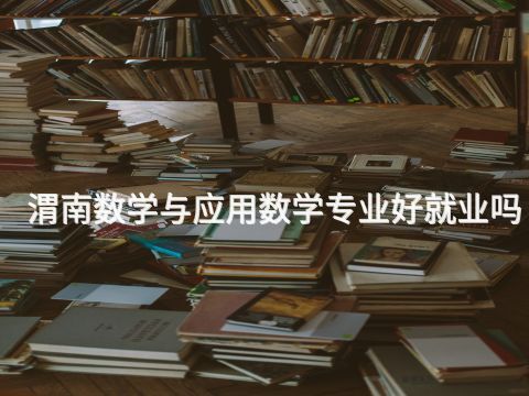 渭南数学与应用数学专业好就业吗