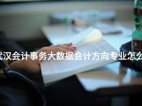 武汉会计事务大数据会计方向专业怎么样