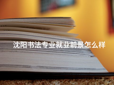 沈阳书法专业就业前景怎么样