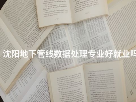 沈阳地下管线数据处理专业好就业吗(图1) 沈阳地下管线数据处理专业好就业吗(图1)