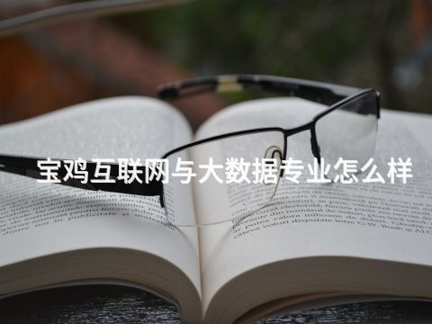 宝鸡互联网与大数据专业怎么样