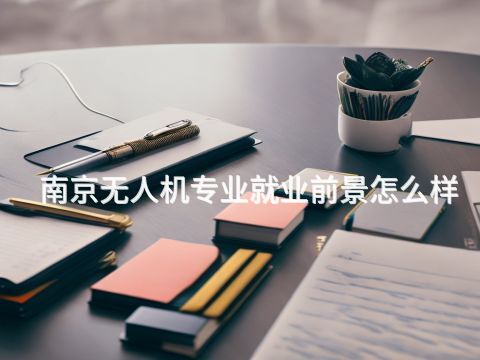 南京无人机专业就业前景怎么样(图1) 南京无人机专业就业前景怎么样(图1)