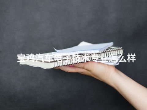 宝鸡汽车电子技术专业怎么样(图1) 宝鸡汽车电子技术专业怎么样(图1)