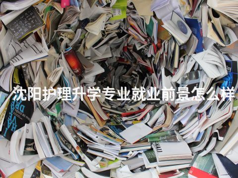 沈阳护理升学专业就业前景怎么样(图1) 沈阳护理升学专业就业前景怎么样(图1)