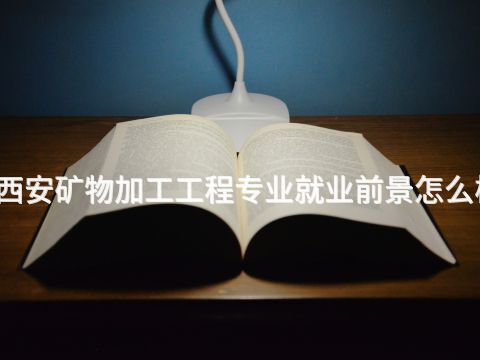 西安矿物加工工程专业就业前景怎么样