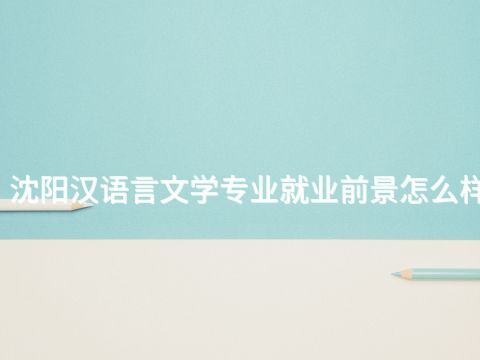 沈阳汉语言文学专业就业前景怎么样