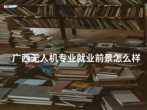 广西无人机专业就业前景怎么样(图1) 广西无人机专业就业前景怎么样(图1)
