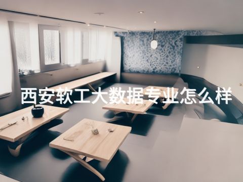 西安软工大数据专业怎么样(图1)
