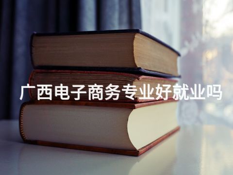 广西电子商务专业好就业吗