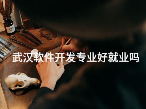 武汉软件开发专业好就业吗