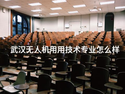 武汉无人机用用技术专业怎么样