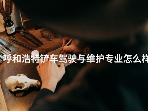 呼和浩特铲车驾驶与维护专业怎么样