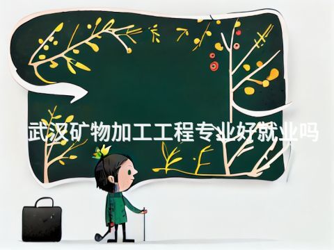 武漢礦物加工工程專業(yè)好就業(yè)嗎