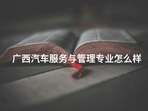 广西汽车服务与管理专业怎么样(图1)
