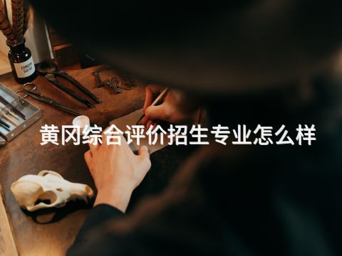 黄冈综合评价招生专业怎么样