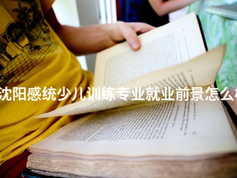 沈阳感统少儿训练专业就业前景怎么样(图1) 沈阳感统少儿训练专业就业前景怎么样(图1)