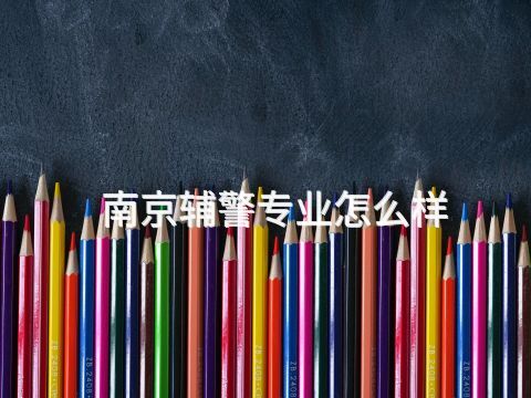 南京辅警专业怎么样