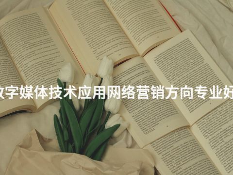 广西数字媒体技术应用网络营销方向专业好就业吗